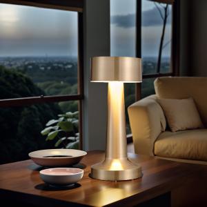 Barbell table lamp
