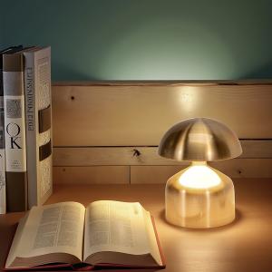 Dwarf pier barbell desk lamp