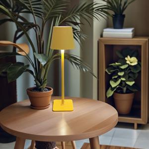Tall legged desk lamp